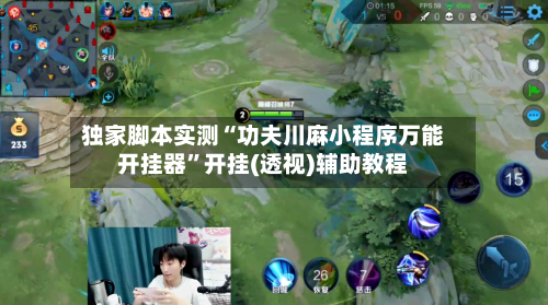 独家脚本实测“功夫川麻小程序万能开挂器”开挂(透视)辅助教程-第3张图片