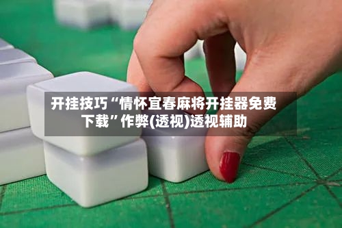 开挂技巧“情怀宜春麻将开挂器免费下载”作弊(透视)透视辅助-第3张图片