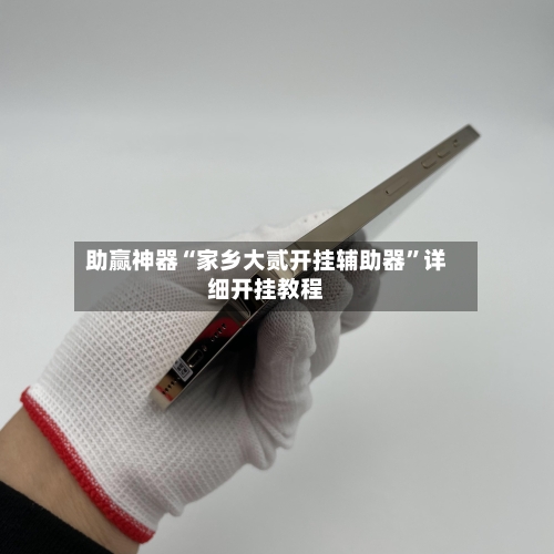 助赢神器“家乡大贰开挂辅助器	”详细开挂教程-第2张图片