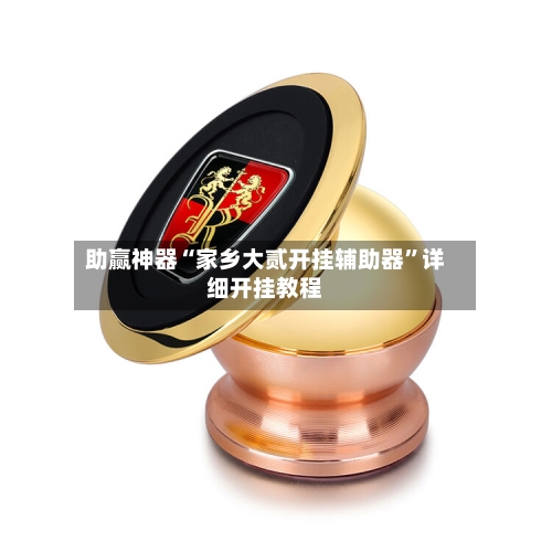 助赢神器“家乡大贰开挂辅助器”详细开挂教程