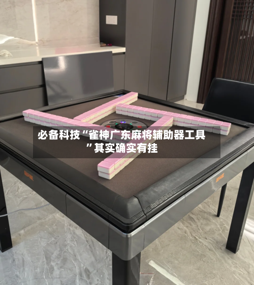 必备科技“雀神广东麻将辅助器工具”其实确实有挂