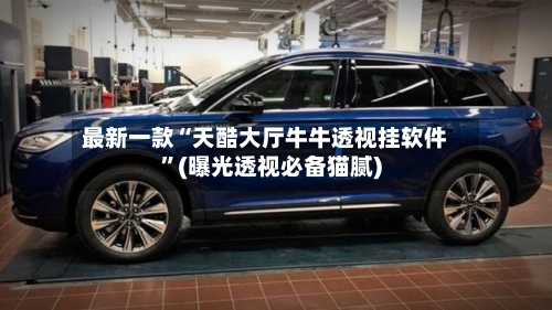 最新一款“天酷大厅牛牛透视挂软件	”(曝光透视必备猫腻)-第2张图片