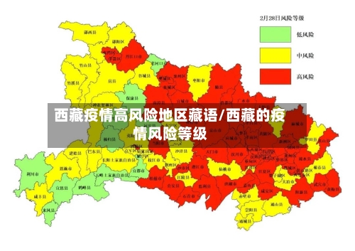 西藏疫情高风险地区藏语/西藏的疫情风险等级-第3张图片