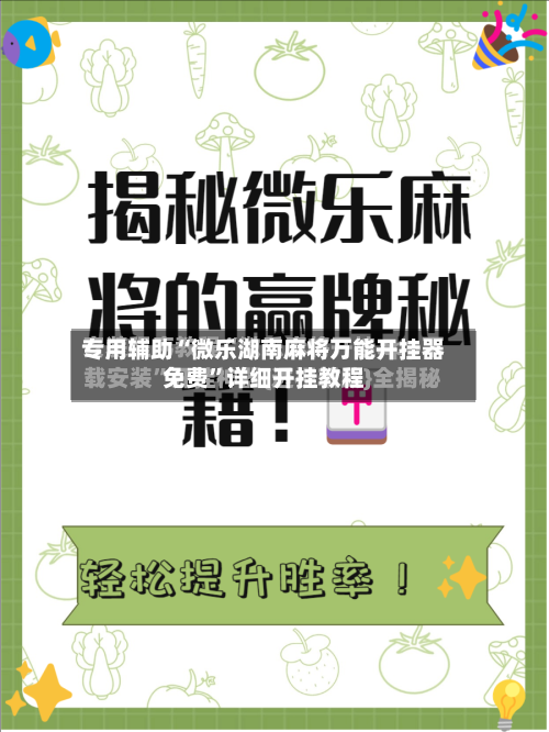 专用辅助“微乐湖南麻将万能开挂器免费”详细开挂教程-第3张图片