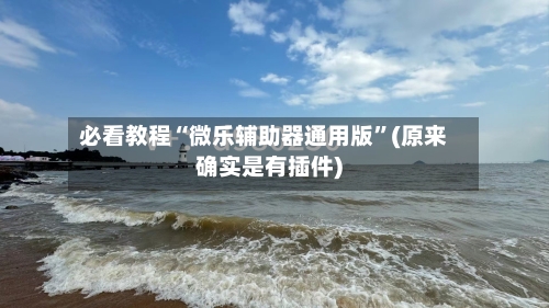 必看教程“微乐辅助器通用版”(原来确实是有插件)-第3张图片