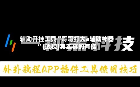辅助开挂工具“哥哥打大a辅助神器”(透视)其实真的有挂