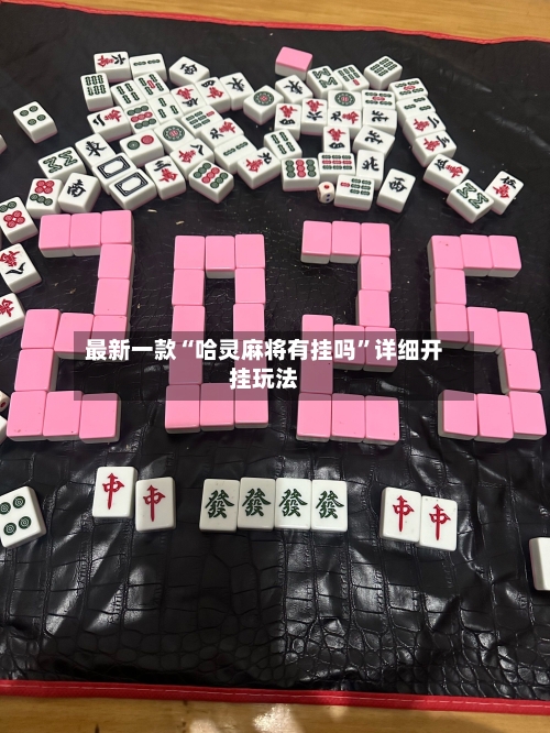 最新一款“哈灵麻将有挂吗”详细开挂玩法
