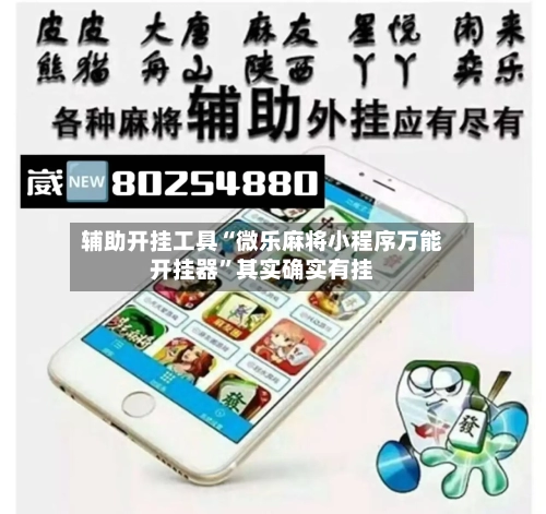 辅助开挂工具“微乐麻将小程序万能开挂器”其实确实有挂-第2张图片