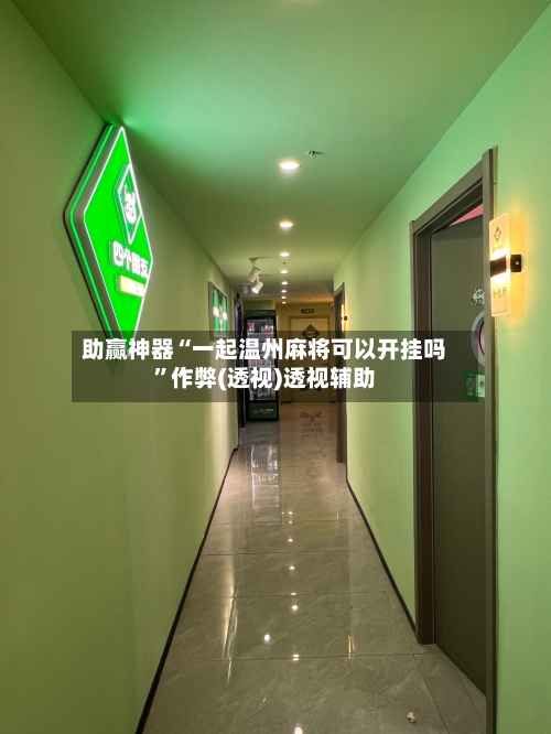 助赢神器“一起温州麻将可以开挂吗”作弊(透视)透视辅助-第3张图片