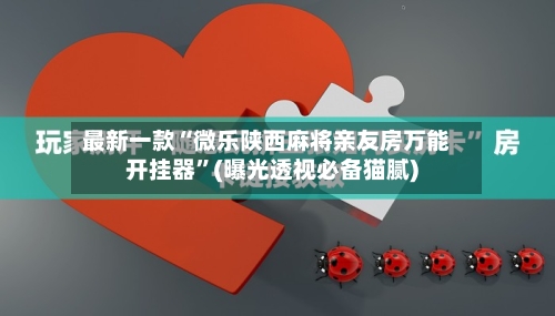 最新一款“微乐陕西麻将亲友房万能开挂器”(曝光透视必备猫腻)