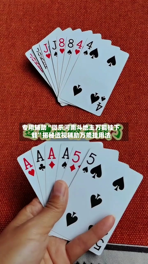 专用辅助“微乐河南斗地主万能挂下载”揭秘透视辅助万能挂用法-第3张图片