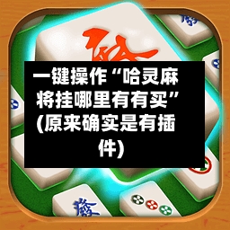 一键操作“哈灵麻将挂哪里有有买	”(原来确实是有插件)-第2张图片