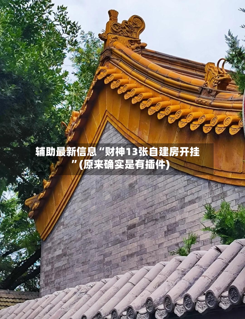 辅助最新信息“财神13张自建房开挂”(原来确实是有插件)-第2张图片