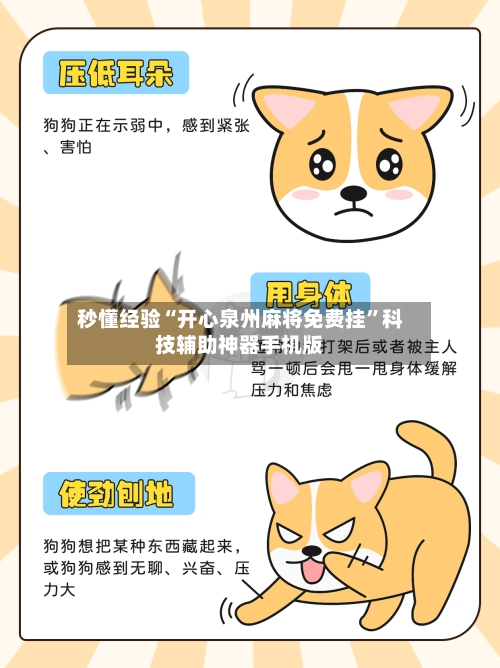 秒懂经验“开心泉州麻将免费挂”科技辅助神器手机版-第3张图片