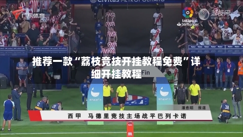 推荐一款“荔枝竞技开挂教程免费”详细开挂教程-第3张图片