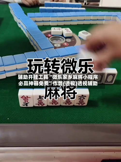辅助开挂工具“微乐家乡麻将小程序必赢神器免费”作弊(透视)透视辅助-第3张图片
