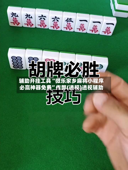 辅助开挂工具“微乐家乡麻将小程序必赢神器免费”作弊(透视)透视辅助