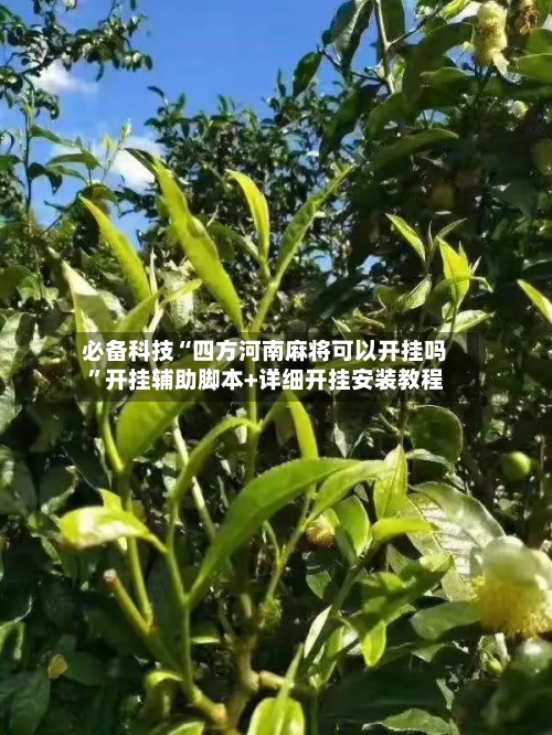 必备科技“四方河南麻将可以开挂吗	”开挂辅助脚本+详细开挂安装教程-第2张图片