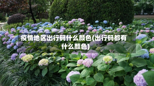 疫情地区出行码什么颜色(出行码都有什么颜色)