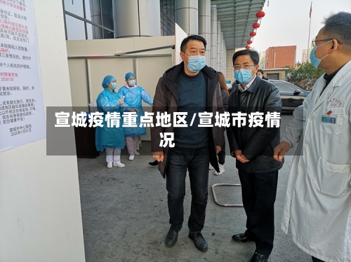 宣城疫情重点地区/宣城市疫情况-第3张图片