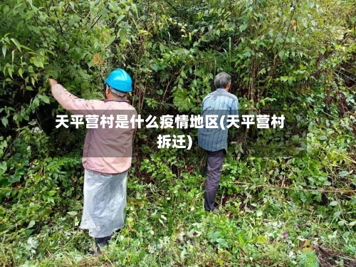 天平营村是什么疫情地区(天平营村拆迁)-第3张图片