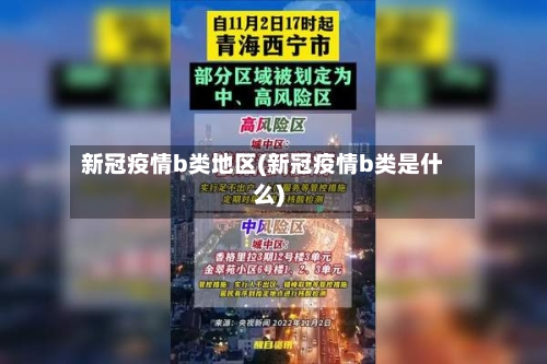 新冠疫情b类地区(新冠疫情b类是什么)-第3张图片