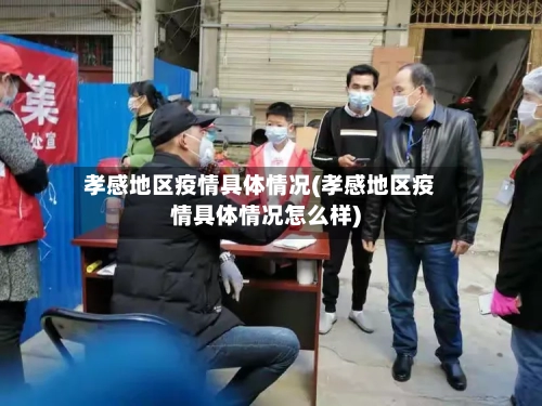 孝感地区疫情具体情况(孝感地区疫情具体情况怎么样)-第2张图片