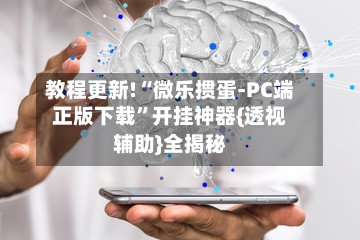 教程更新!“微乐掼蛋-PC端正版下载”开挂神器{透视辅助}全揭秘-第2张图片