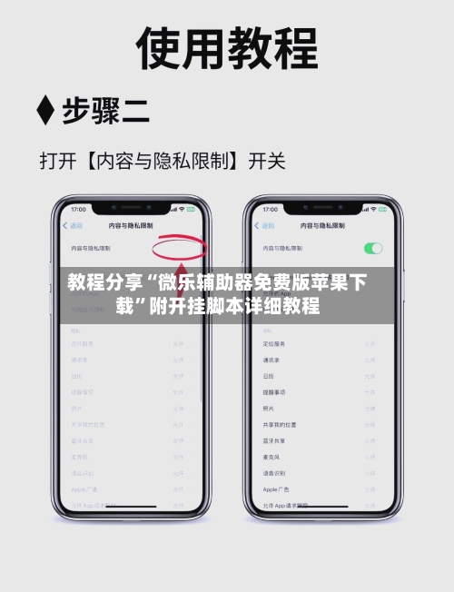 教程分享“微乐辅助器免费版苹果下载”附开挂脚本详细教程