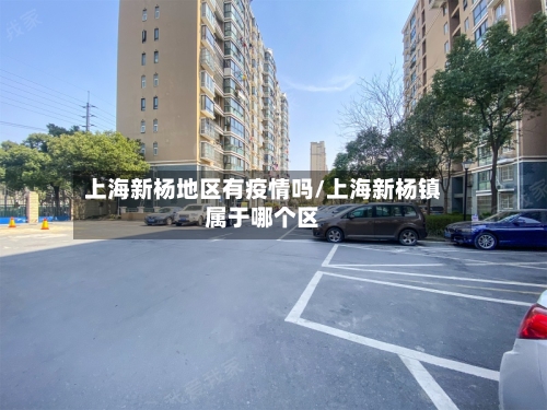 上海新杨地区有疫情吗/上海新杨镇属于哪个区-第3张图片