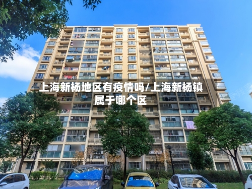 上海新杨地区有疫情吗/上海新杨镇属于哪个区-第2张图片