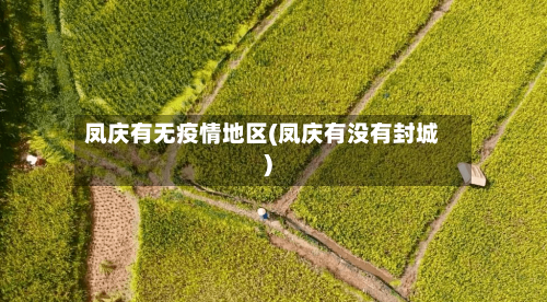 凤庆有无疫情地区(凤庆有没有封城)