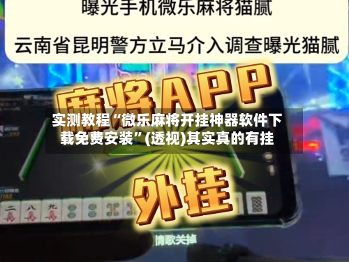 实测教程“微乐麻将开挂神器软件下载免费安装”(透视)其实真的有挂-第3张图片