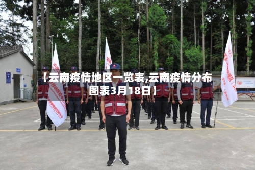 【云南疫情地区一览表,云南疫情分布图表3月18日】-第3张图片