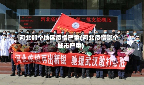 河北那个地区疫情严重(河北疫情哪个城市严重)-第3张图片