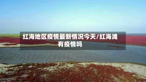 红海地区疫情最新情况今天/红海滩有疫情吗-第2张图片