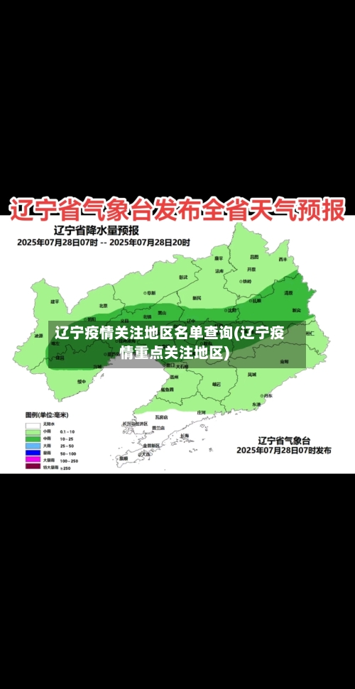 辽宁疫情关注地区名单查询(辽宁疫情重点关注地区)-第2张图片