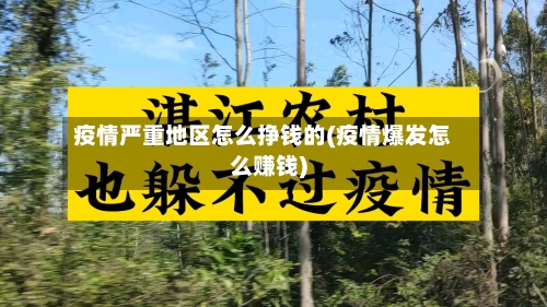 疫情严重地区怎么挣钱的(疫情爆发怎么赚钱)