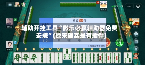 辅助开挂工具“微乐必赢辅助器免费安装”(原来确实是有插件)-第3张图片