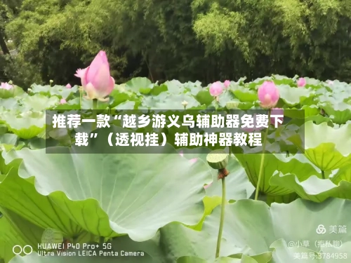 推荐一款“越乡游义乌辅助器免费下载”（透视挂）辅助神器教程