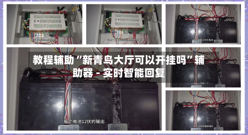 教程辅助“新青鸟大厅可以开挂吗	”辅助器 - 实时智能回复-第2张图片