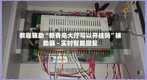 教程辅助“新青鸟大厅可以开挂吗”辅助器 - 实时智能回复-第3张图片