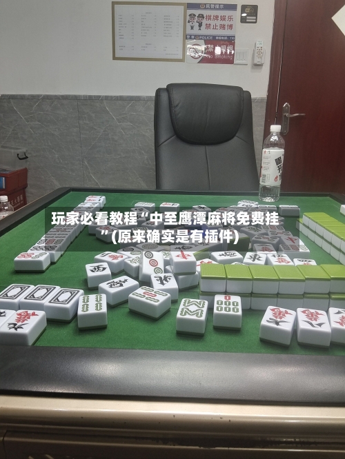 玩家必看教程“中至鹰潭麻将免费挂”(原来确实是有插件)-第2张图片