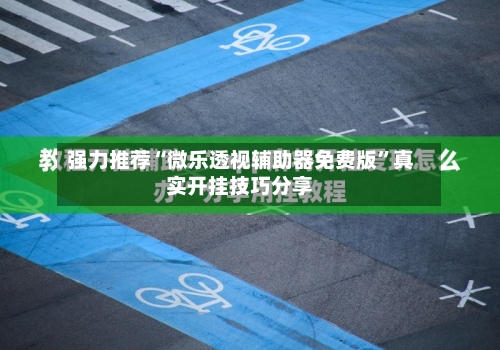 强力推荐“微乐透视辅助器免费版”真实开挂技巧分享-第2张图片