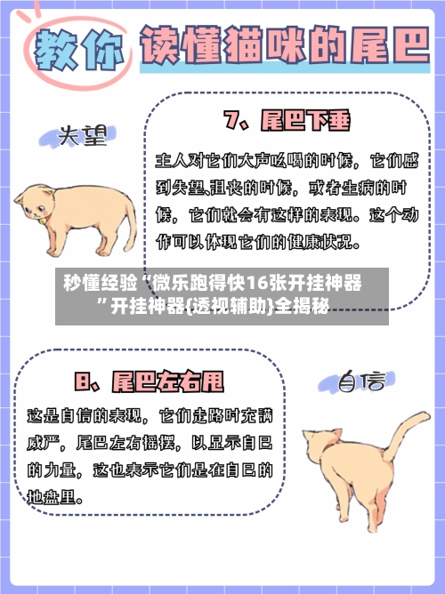 秒懂经验“微乐跑得快16张开挂神器	”开挂神器{透视辅助}全揭秘-第2张图片