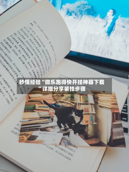 秒懂经验“微乐跑得快开挂神器下载”详细分享装挂步骤-第2张图片