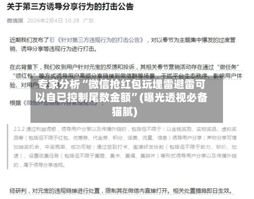 专家分析“微信抢红包玩埋雷避雷可以自已控制尾数金额”(曝光透视必备猫腻)-第2张图片