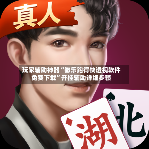 玩家辅助神器“微乐跑得快透视软件免费下载”开挂辅助详细步骤-第2张图片