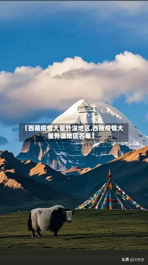 【西藏疫情大量外溢地区,西藏疫情大量外溢地区名单】-第3张图片