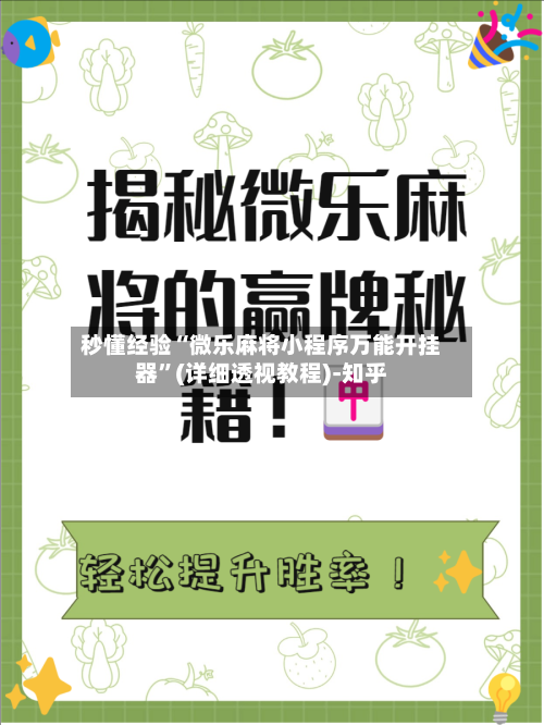 秒懂经验“微乐麻将小程序万能开挂器	”(详细透视教程)-知乎-第2张图片